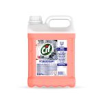 Ribercon - CIF Desengordurante Concentrado Profissional – 5 Litros